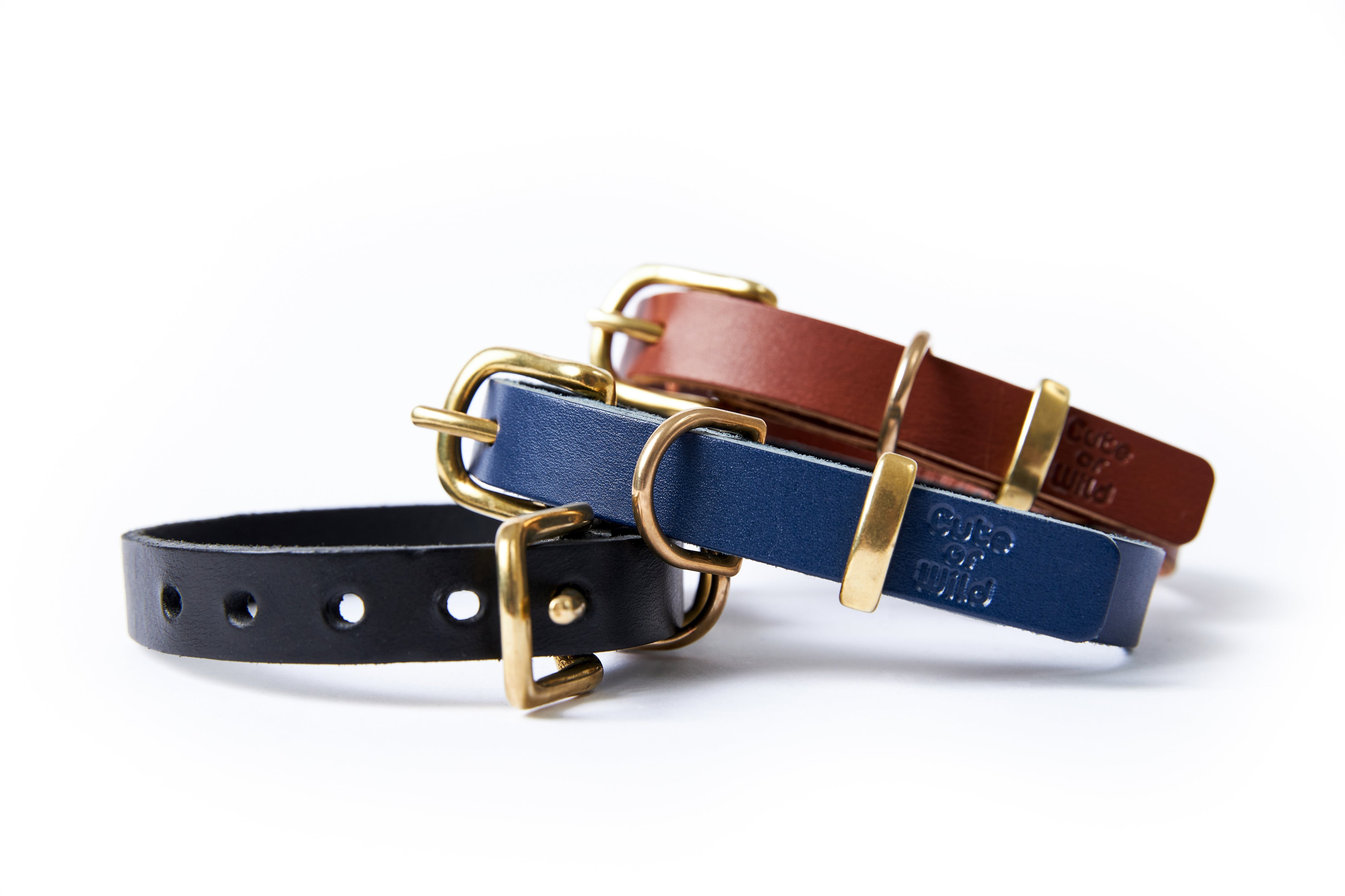 Dog collar/ Blue