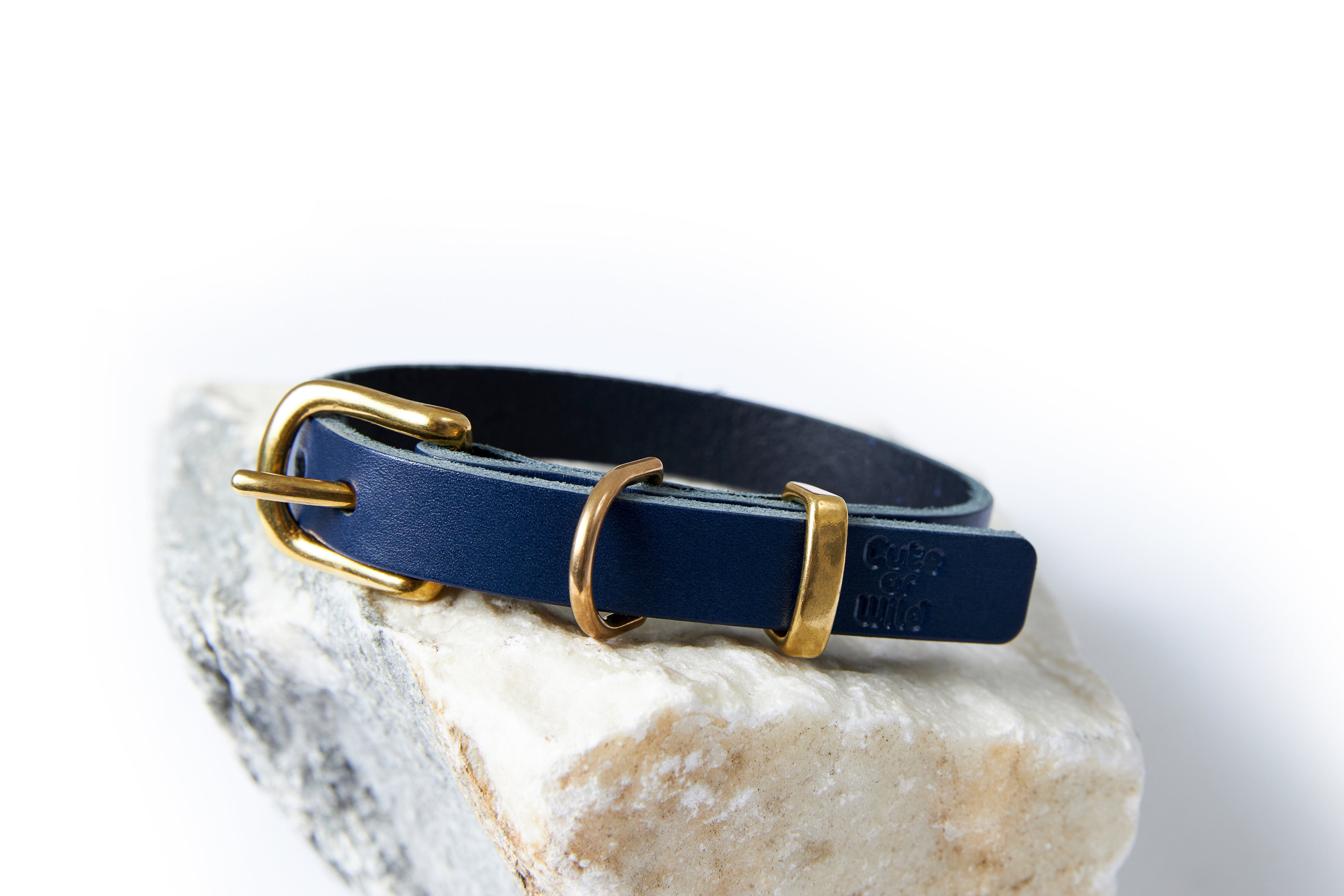 Dog collar/ Blue